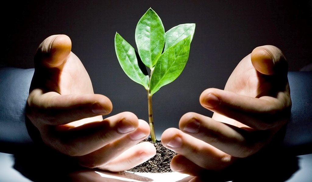 How to Access Public Venture Capital