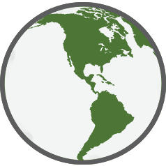 US Tax Services Icon
