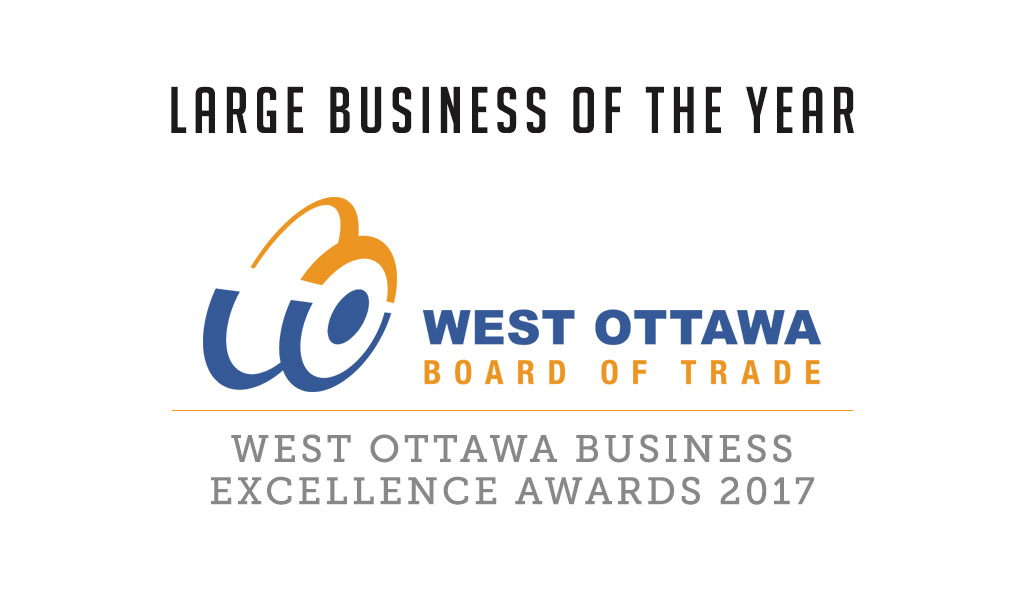 Large Business of the Year 2017 Award