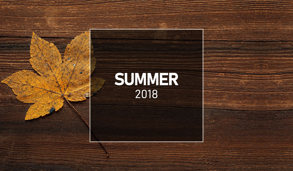 Welch Times – Fall Newsletter 2018