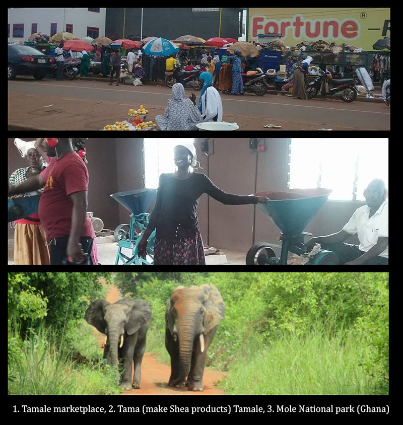 shannon-ghana