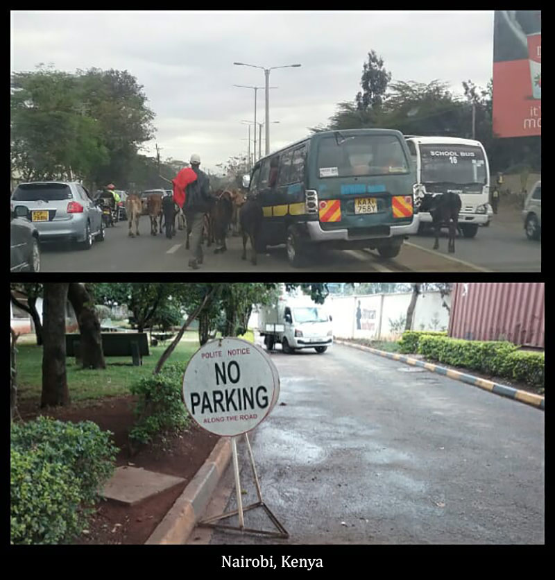 shannon-kenya