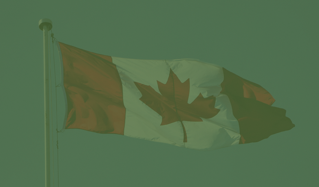 What will the Canadian government do next?