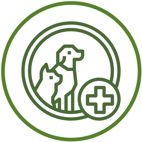 pharmacist icon